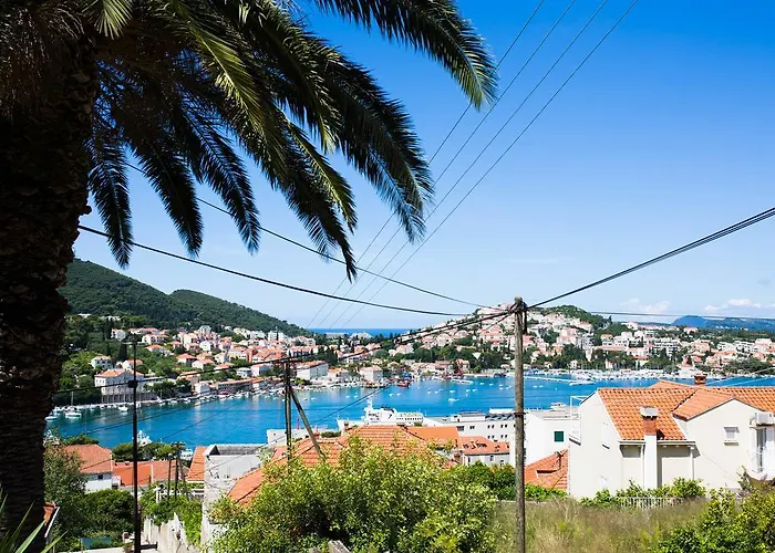 Apartments Dubrovnik Palm Tree Paradise